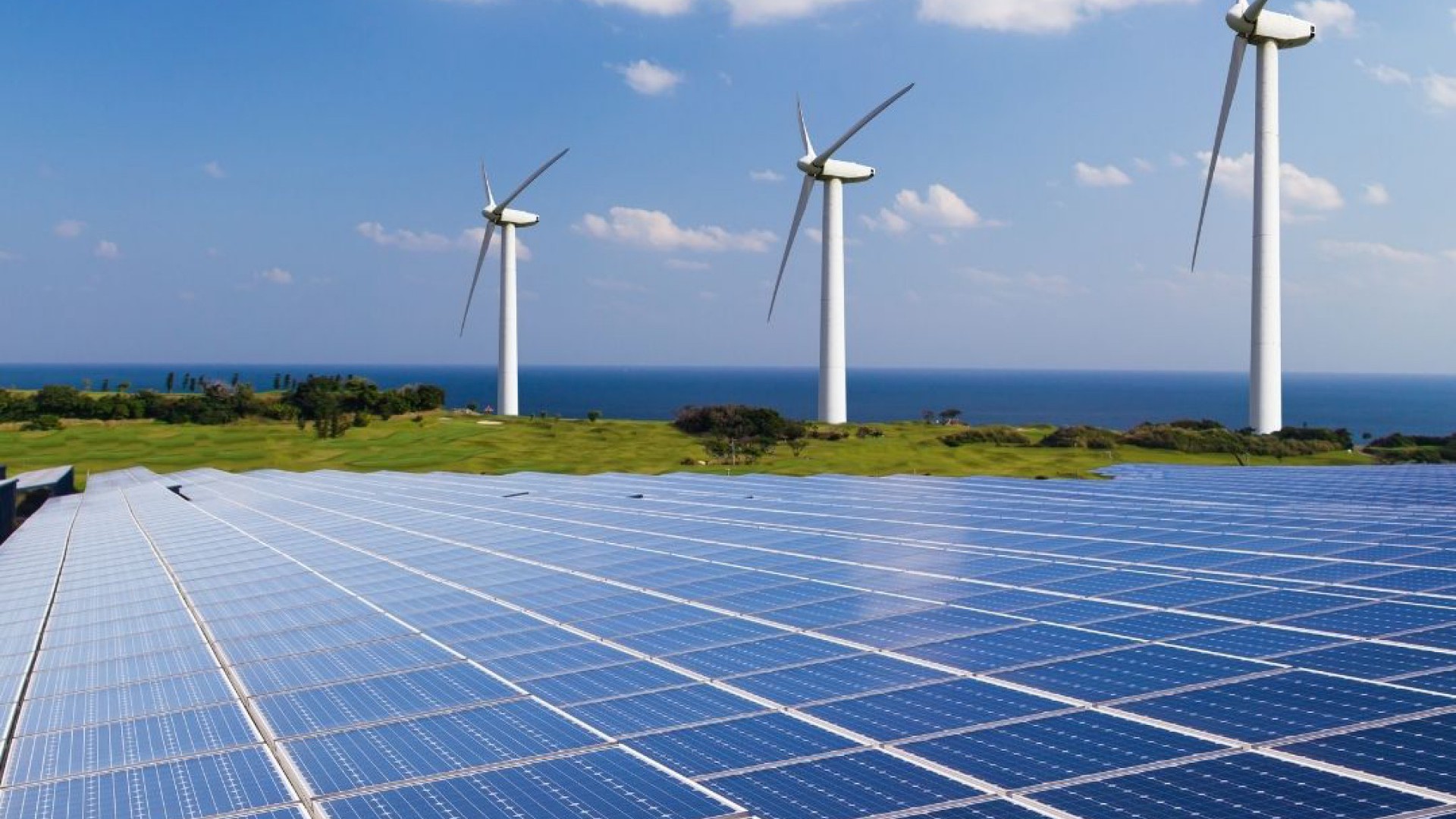 Yenilebilir Enerji
